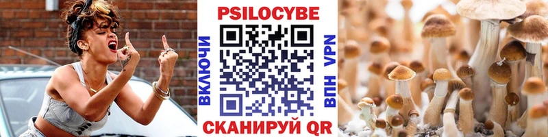 Псилоцибиновые грибы Cubensis Красный Холм